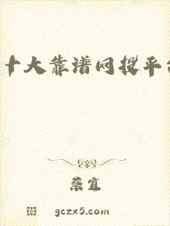 十大靠谱网投平台