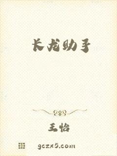 长龙助手